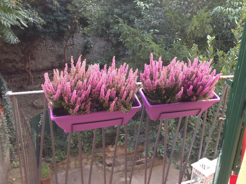 Appartamento Casa Maron