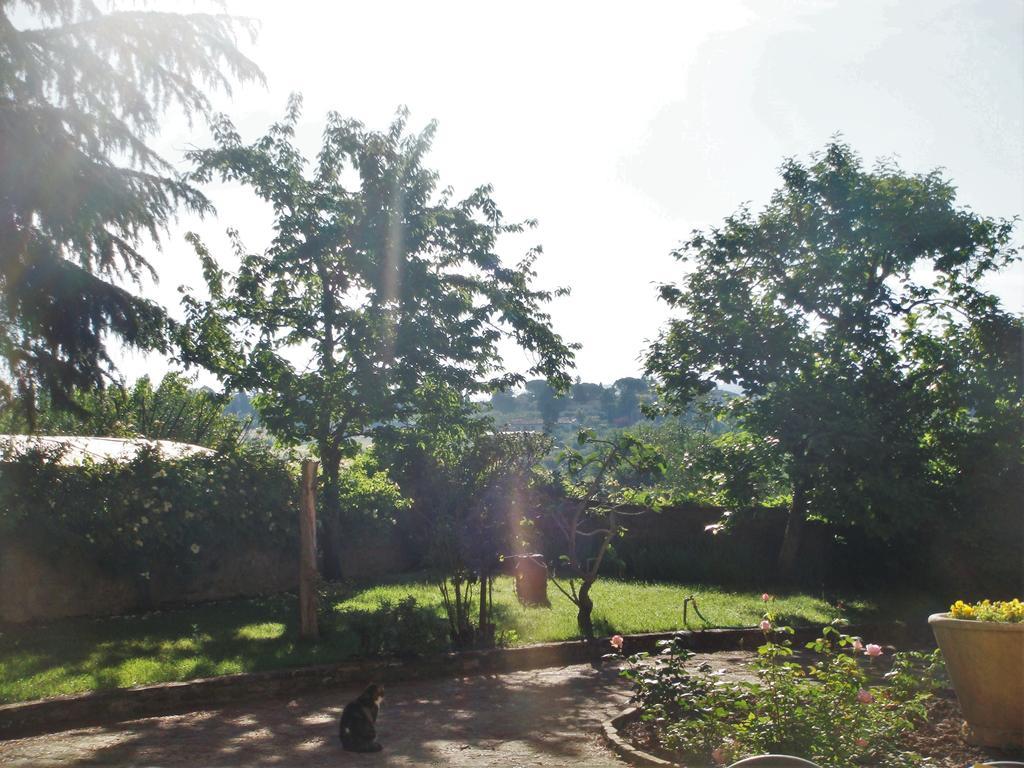 La Casa Di Piero Firenze