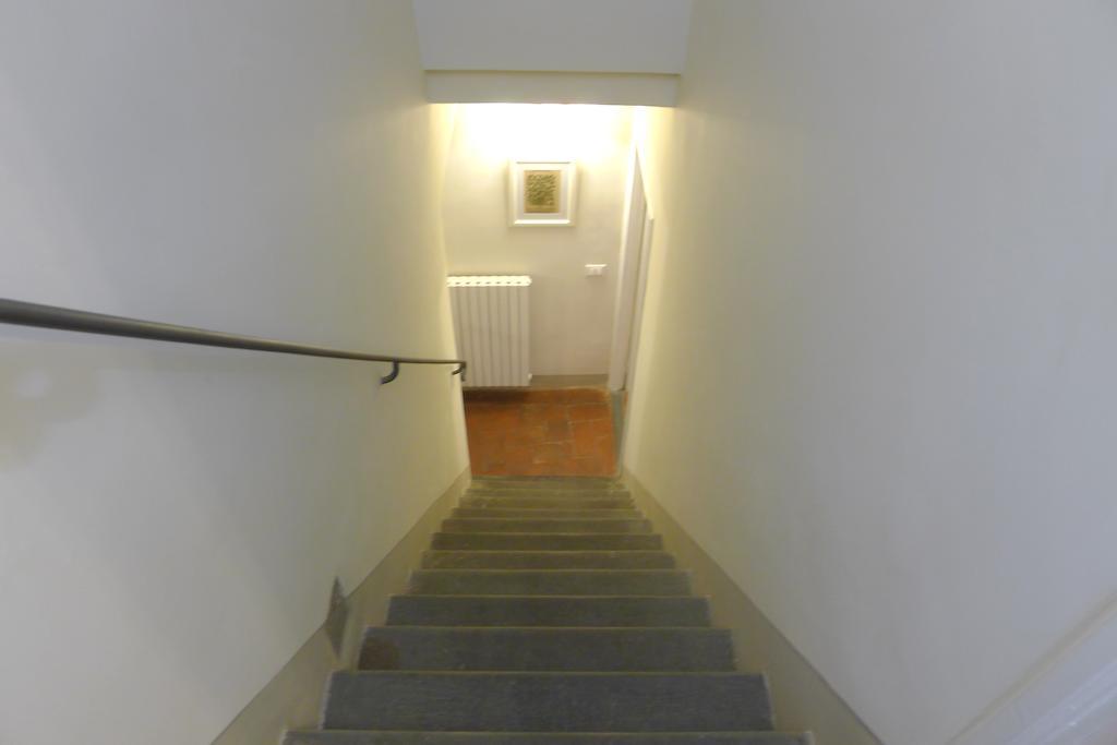 Pavone Firenze
