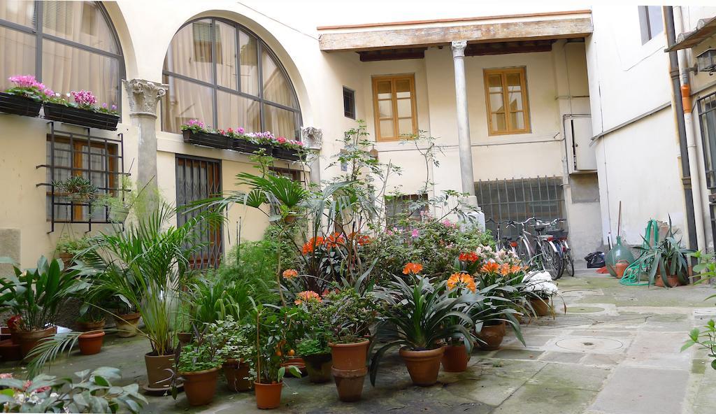 Pavone Firenze