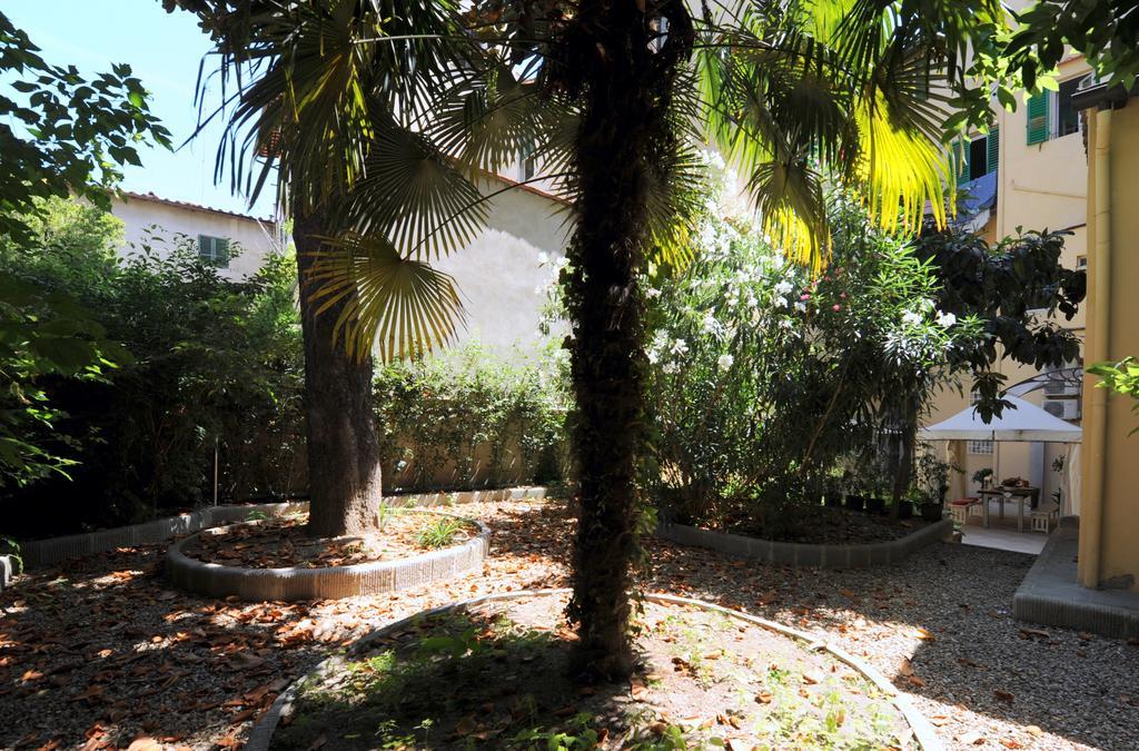 Acacia Artemisia-angelica Firenze