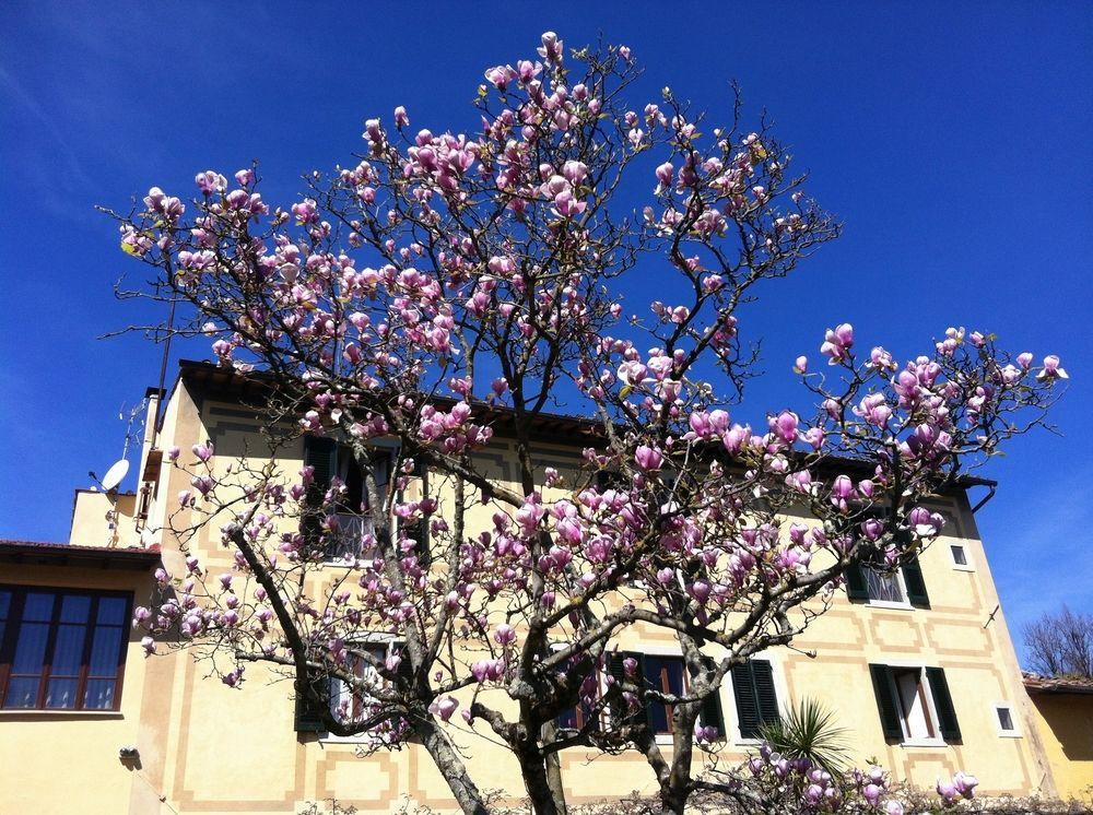 Ape Rosa Relais Couette-café