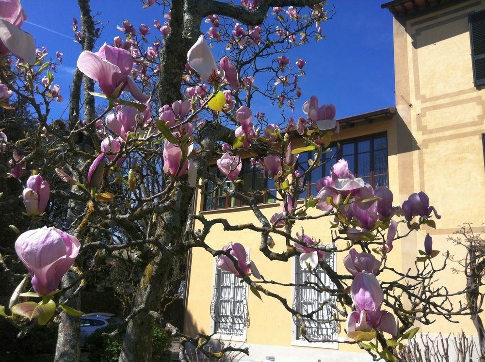 Ape Rosa Relais Couette-café Florence