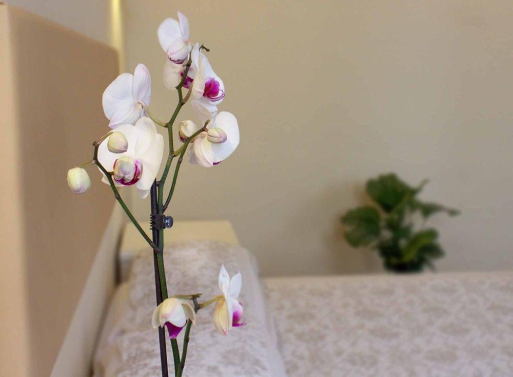 De Biffi Bed & Breakfast