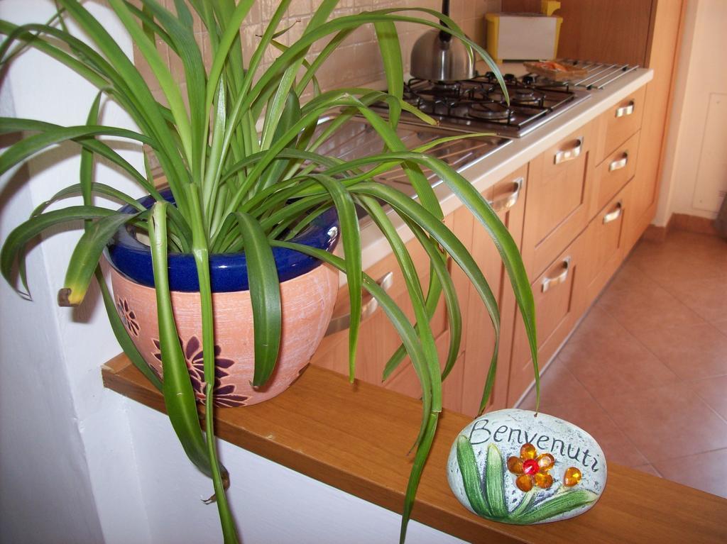Appartement Casa Mia *