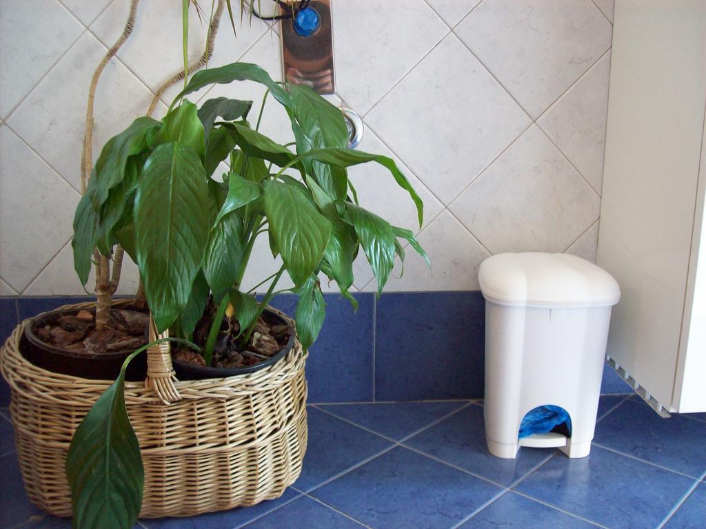 Casa Mia Appartement