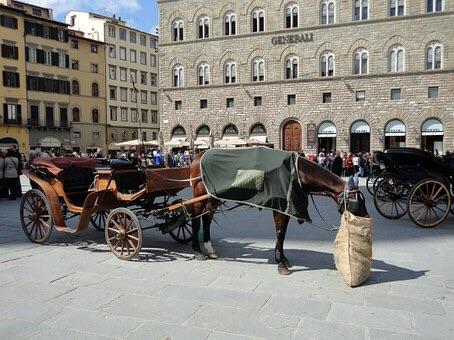 Piccolo Signoria *