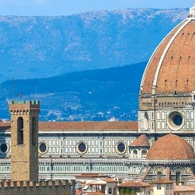 Medici Firenze
