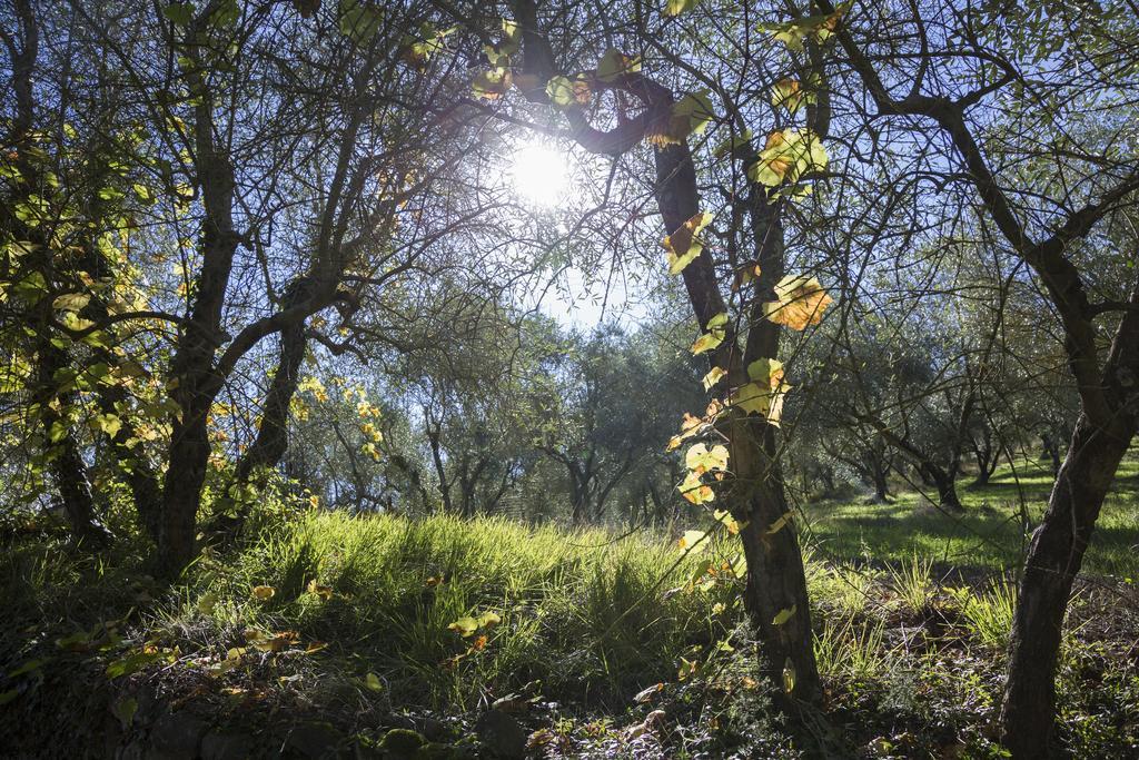 Fattoria Il Milione Feriegård