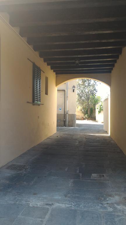 Il Gufo Pensatore