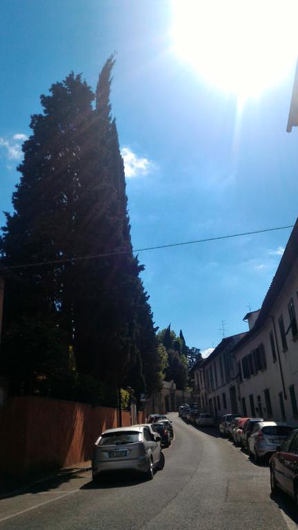 Appartamento Il Gufo Pensatore *