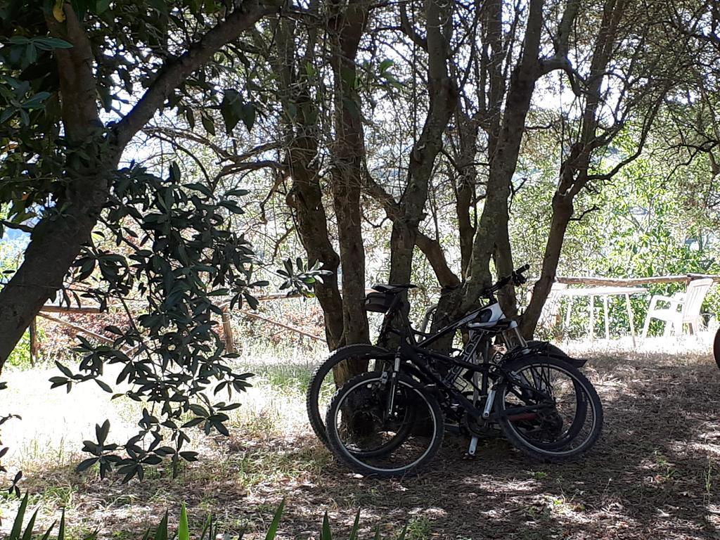 Feriegård Fattoria Il Milione