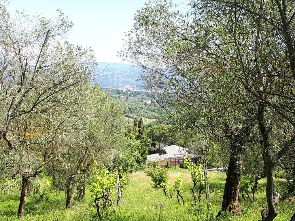 Fattoria Il Milione Feriegård