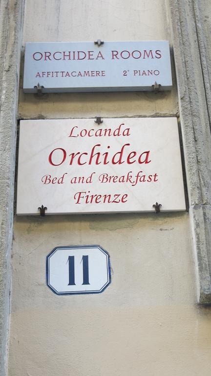 Orchidea 3* Firenze