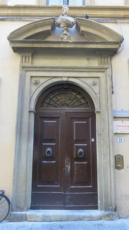 Orchidea Firenze