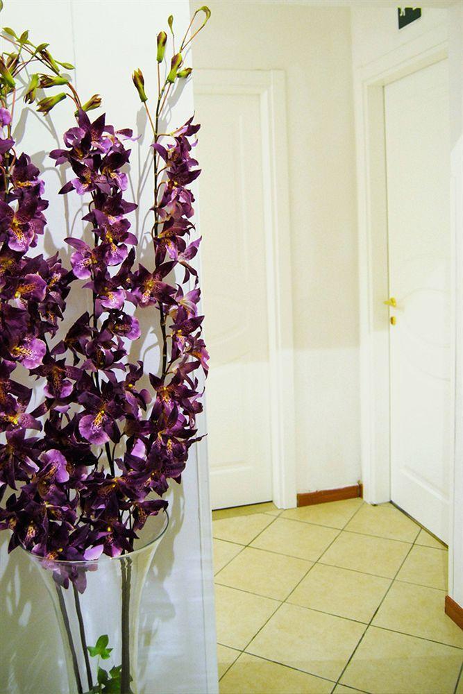 Gjestgiverier Adelaide House 2*