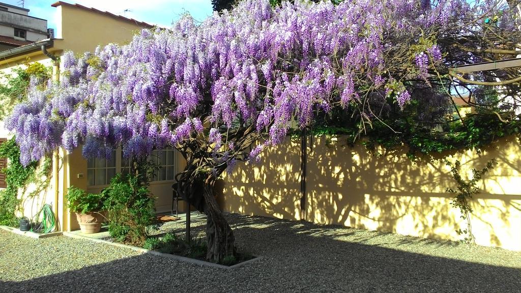 Acomodação com café da manhã  Villino Fiorentino