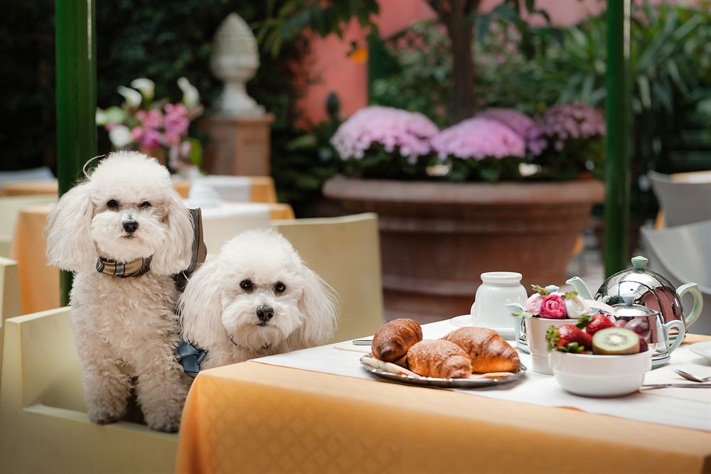 Palazzo Dal Borgo Hotel 4*
