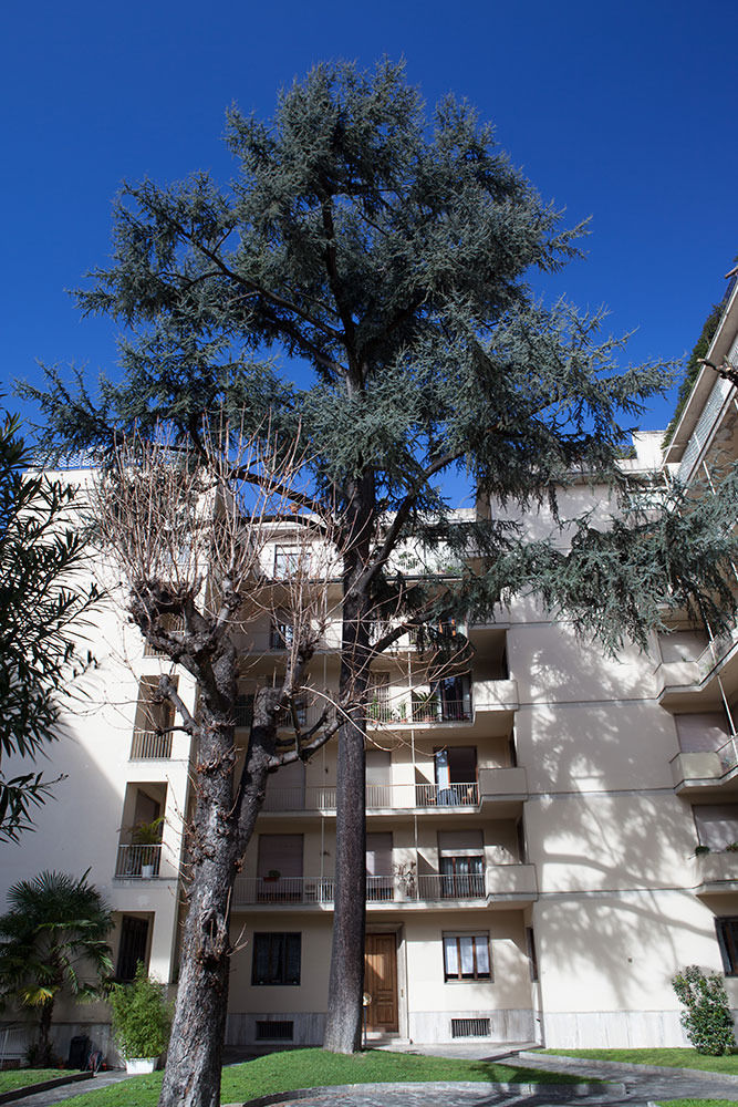 Verdi Appartement Florence