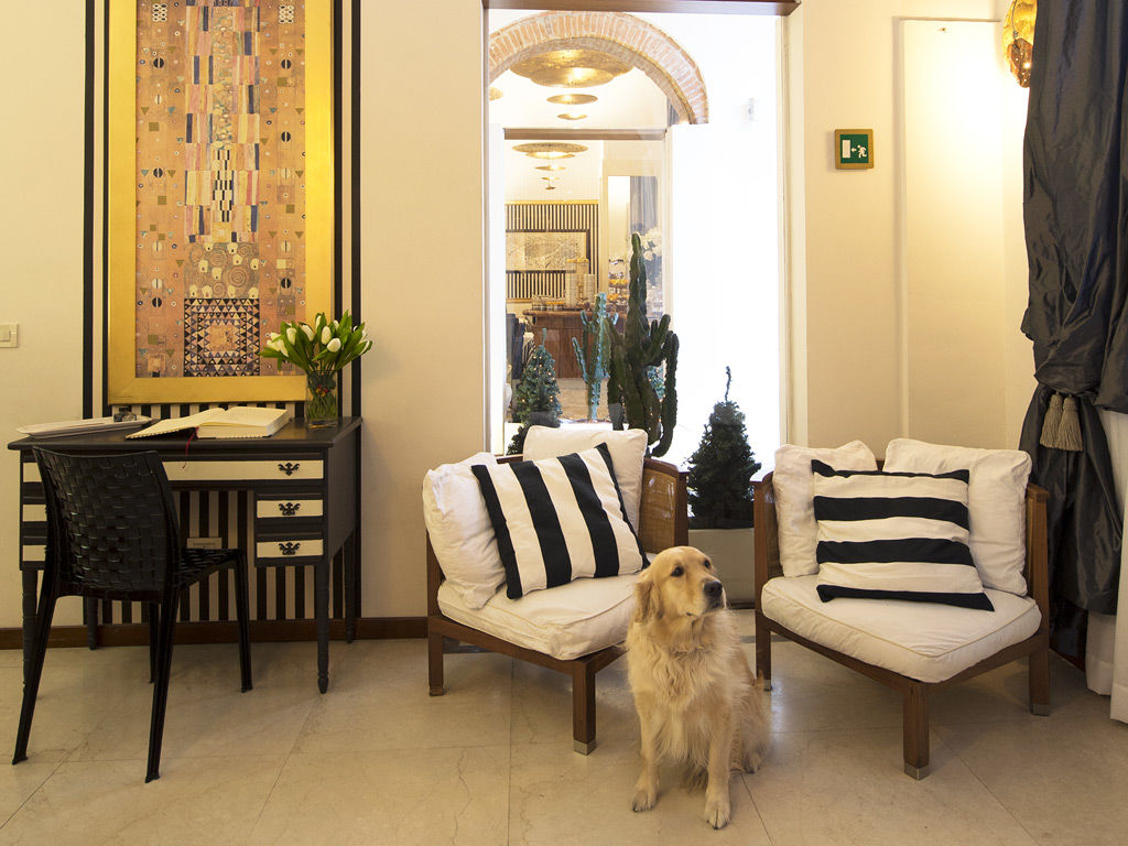 De La Pace, Sure Collection By Western Firenze