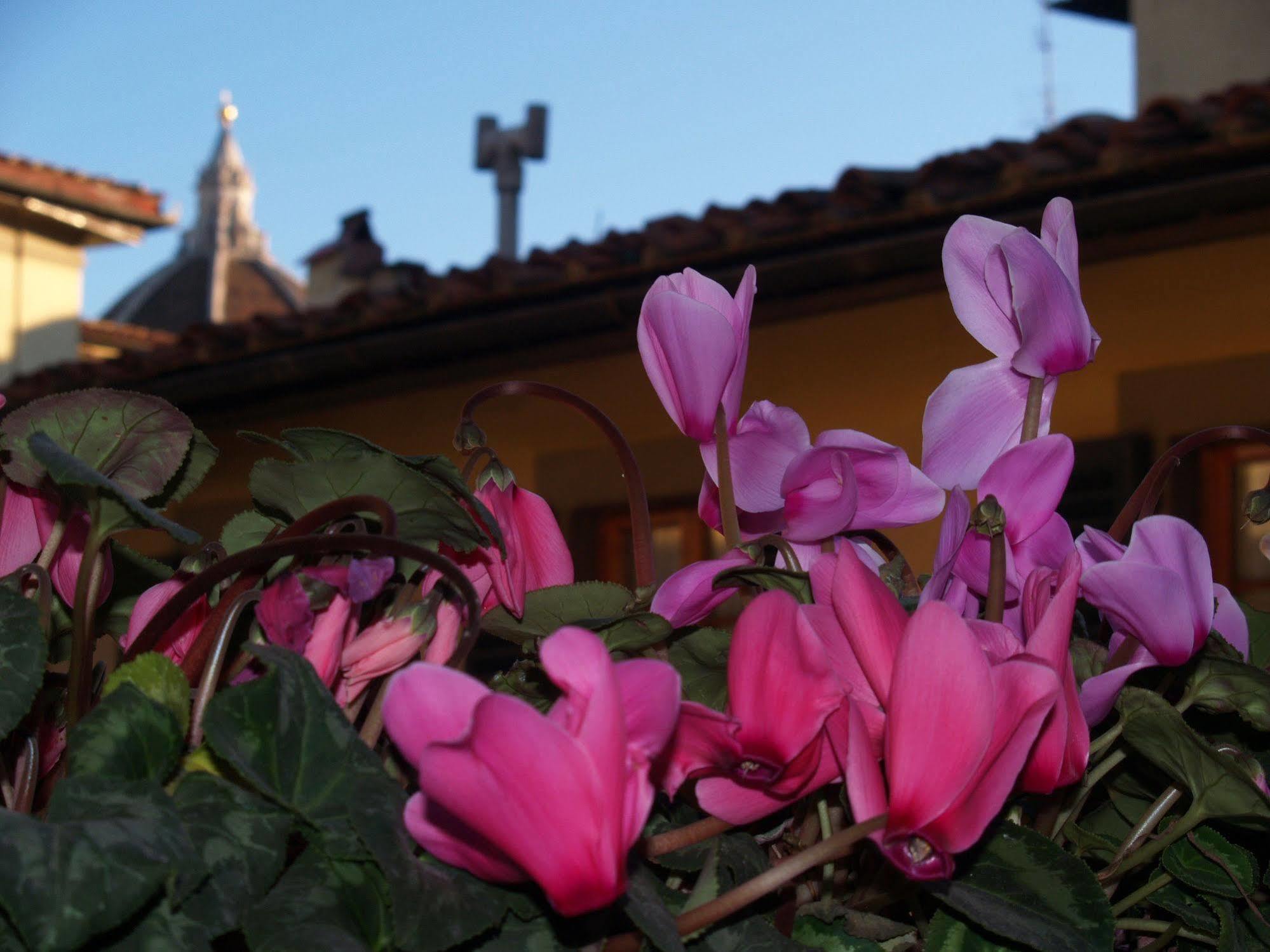 Botticelli 4* Firenze
