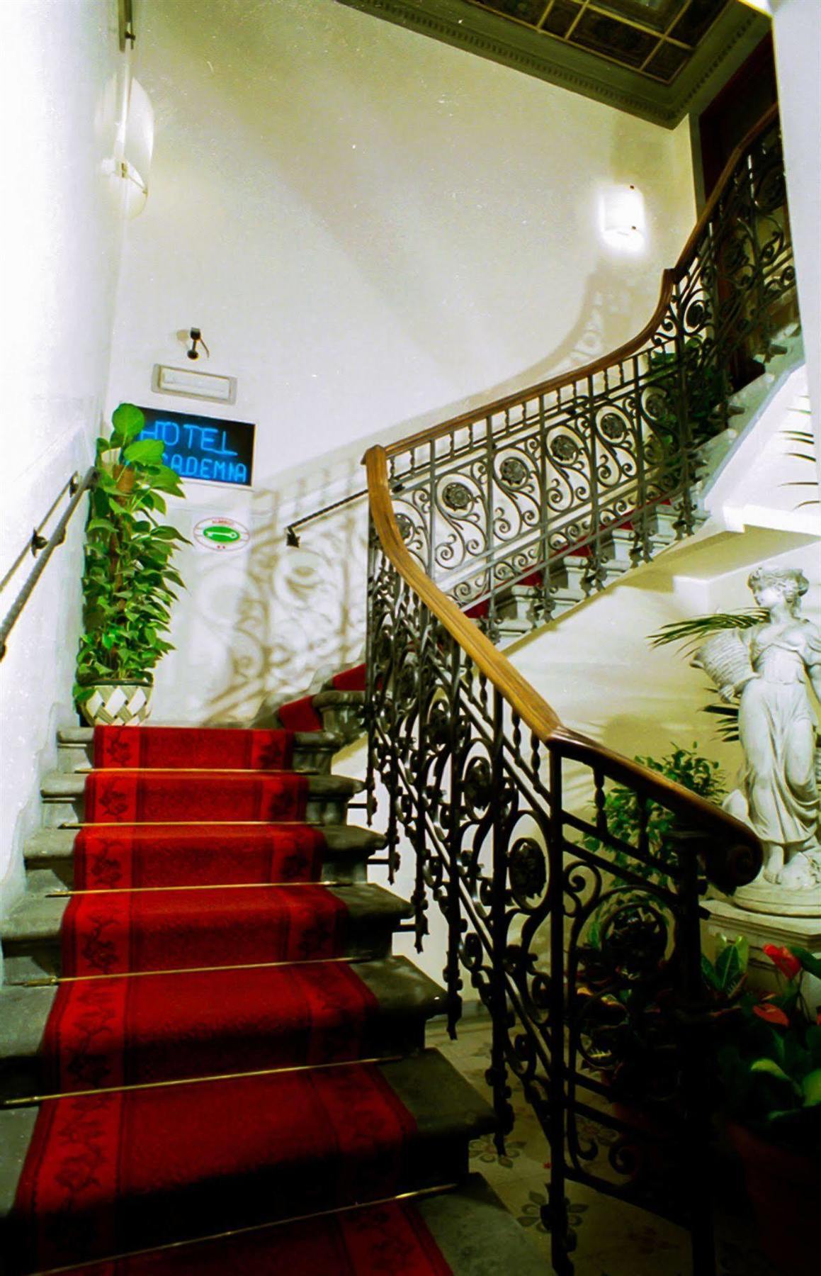 Accademia Hotel 3*