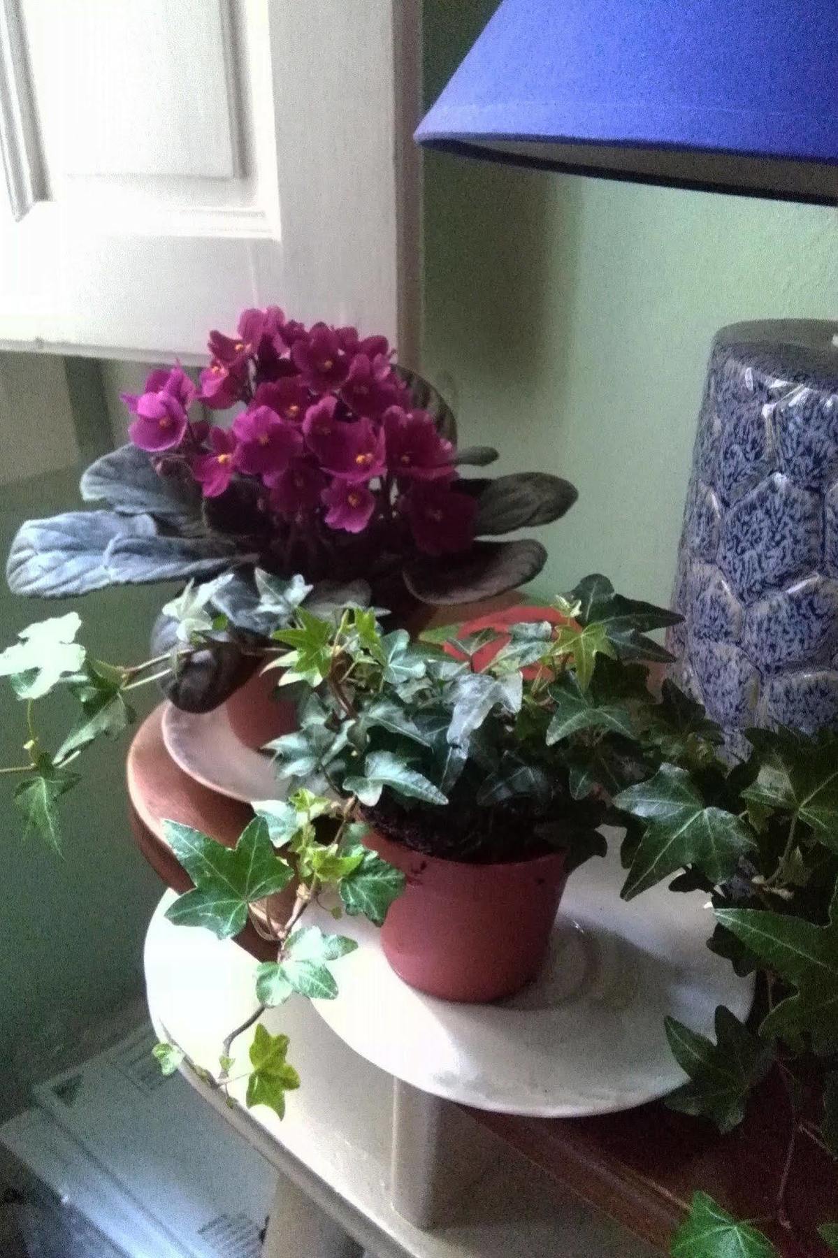 A Casa Di Virgilio Gjestgiverier Firenze