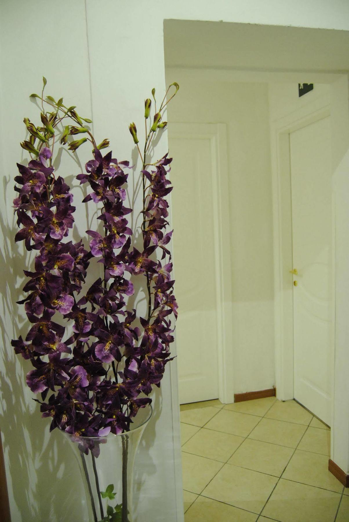 Adelaide House Gjestgiverier 2*