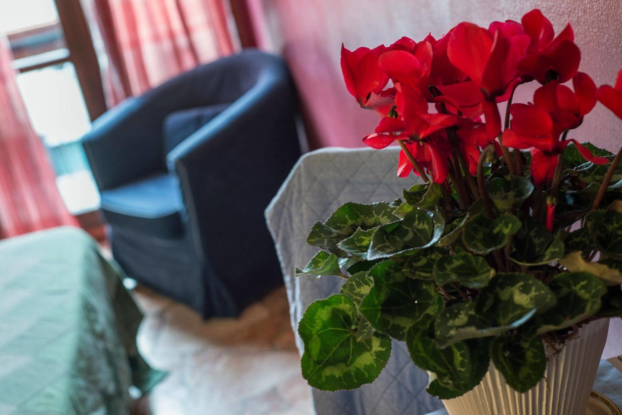 Bed & Breakfast Fortezza Fiorentina
