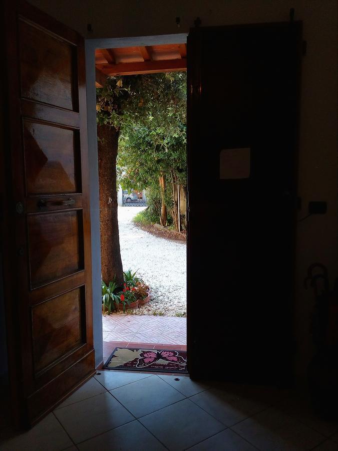 Couette-café L'acchiappasogni *