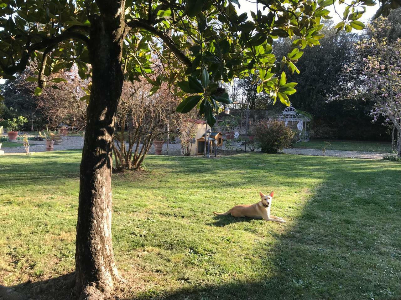 Ape Rosa Relais 2* Florence