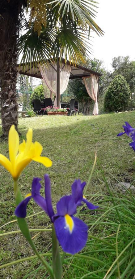 Casa Betania Casa Per Ferie 2* Firenze