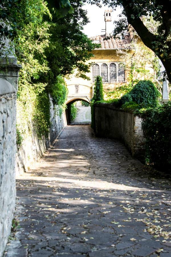 Fiorentina Con Piscina E Vista Sulla Citta Firenze