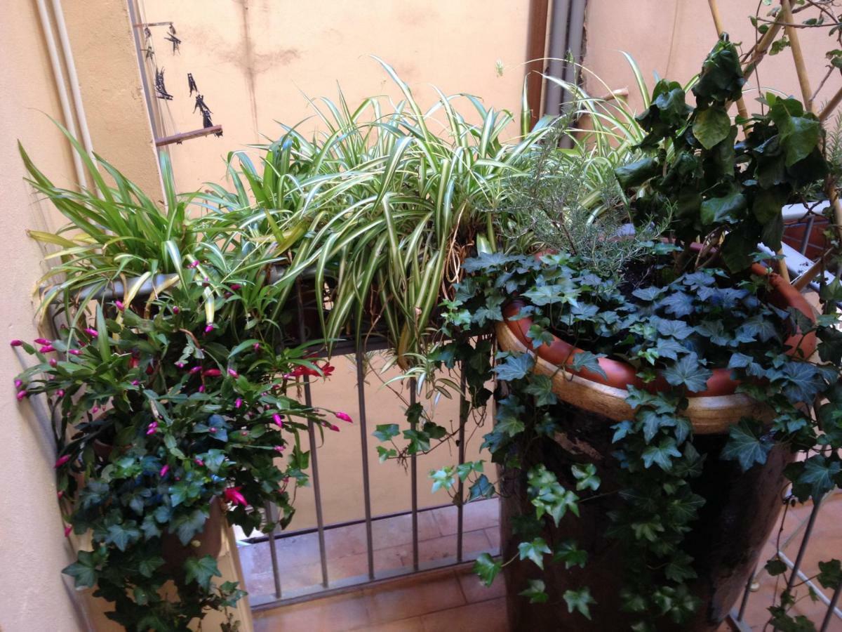 Oasis In The Heart Of Apartamento *