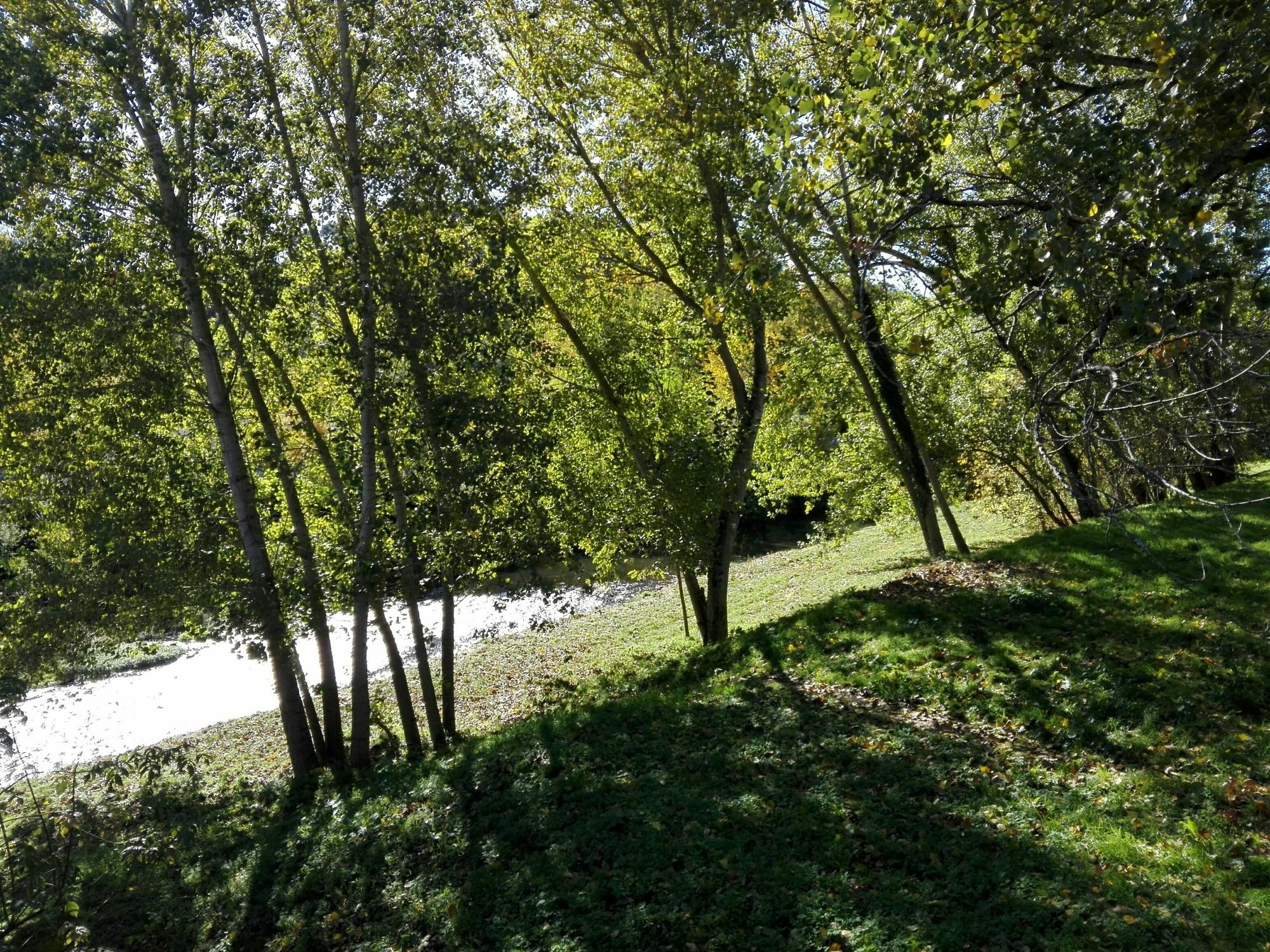 Bed & Breakfast Relais Dante E Beatrice Firenze
