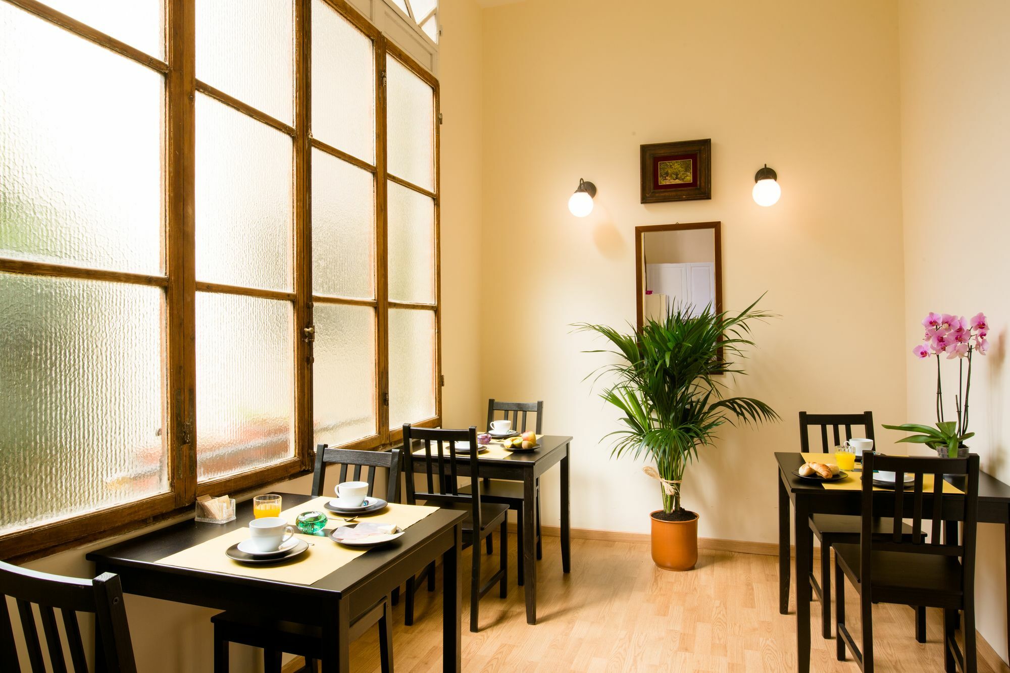 Orchidea 3* Firenze