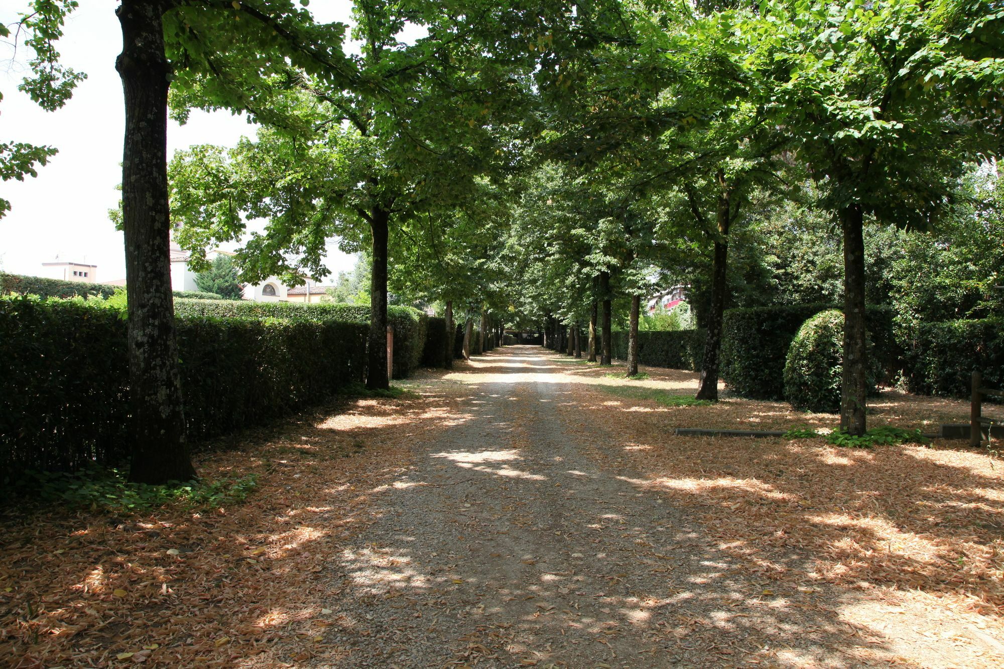 Bed & Breakfast Rovezzano 3*