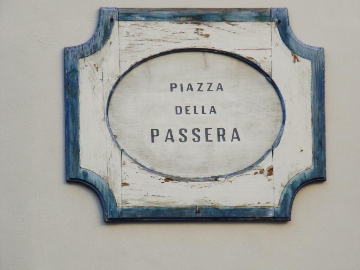 Nido De' Pitti