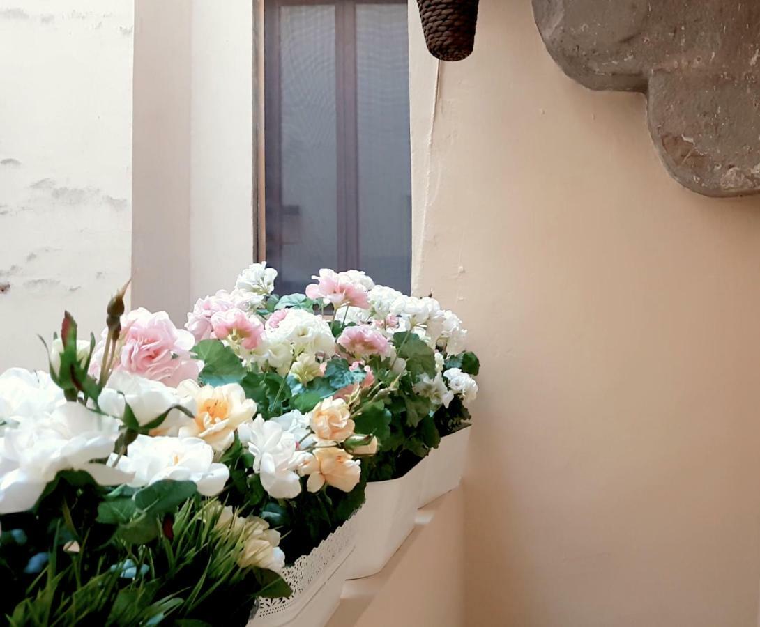 Apartamento Velvet Loft - Santo Spirito *