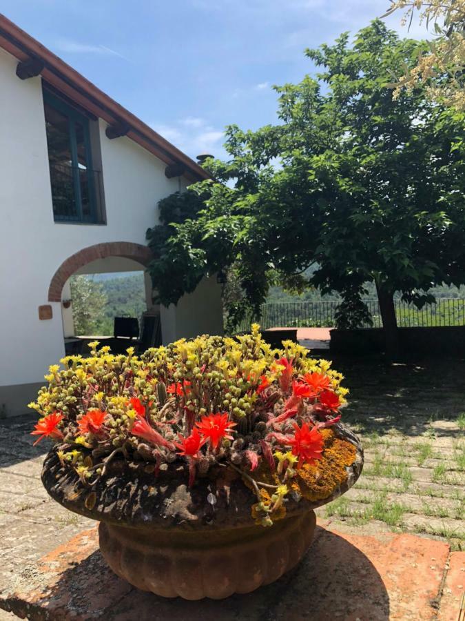 Alle Montanine Sughera Casa vacanze *