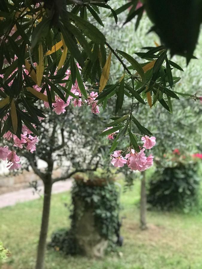 La Casa Di Claudia Florença