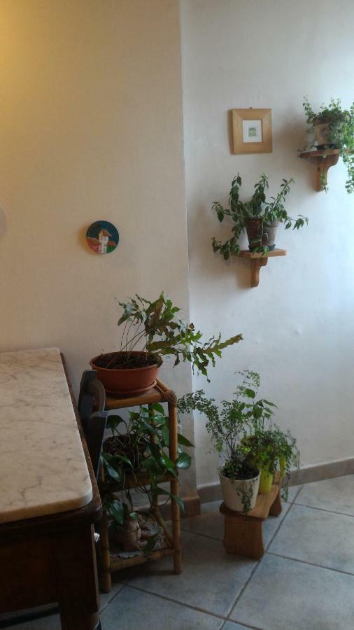 Il Gufo Pensatore Appartamento *