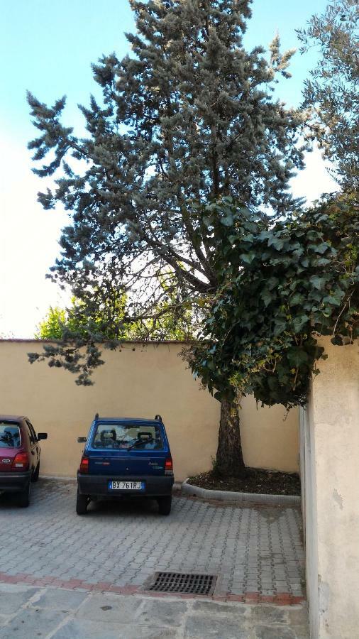 Il Gufo Pensatore Firenze