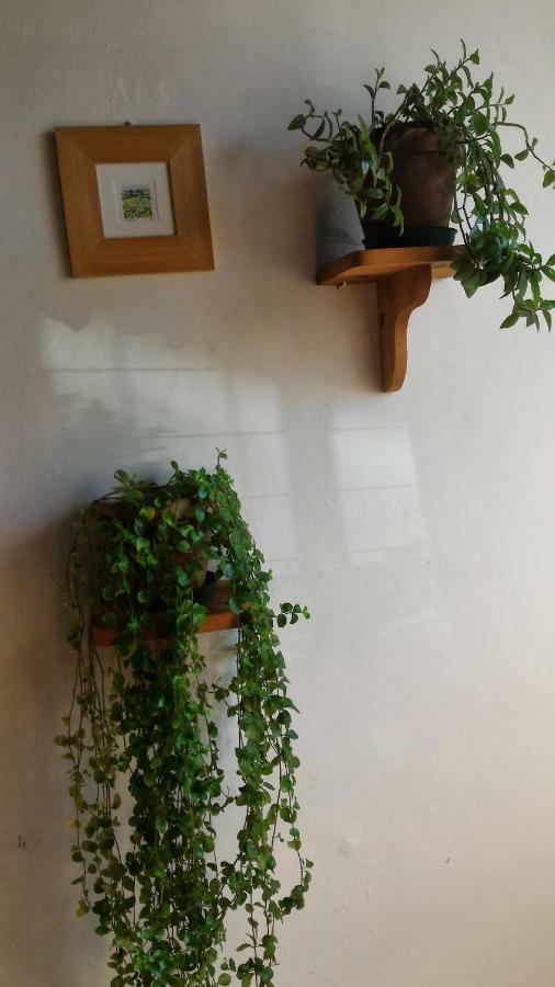 Apartment Il Gufo Pensatore