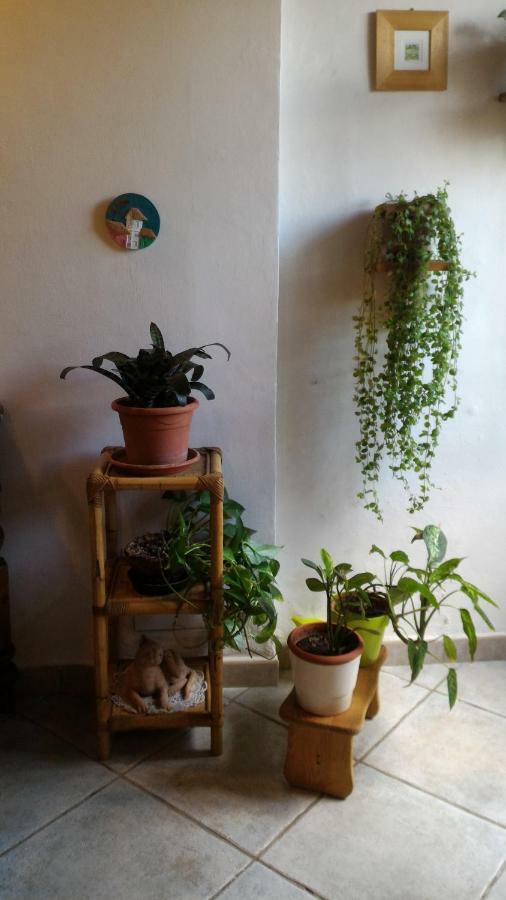 Il Gufo Pensatore Apartment