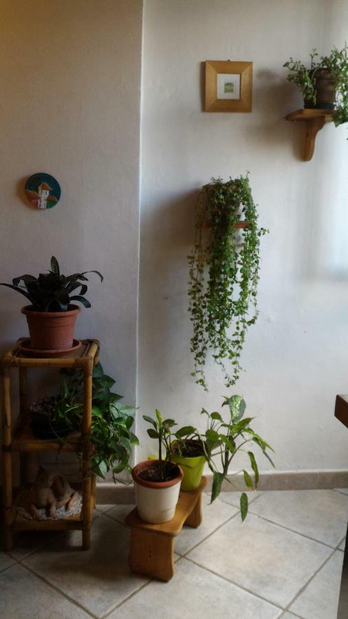 Apartment Il Gufo Pensatore