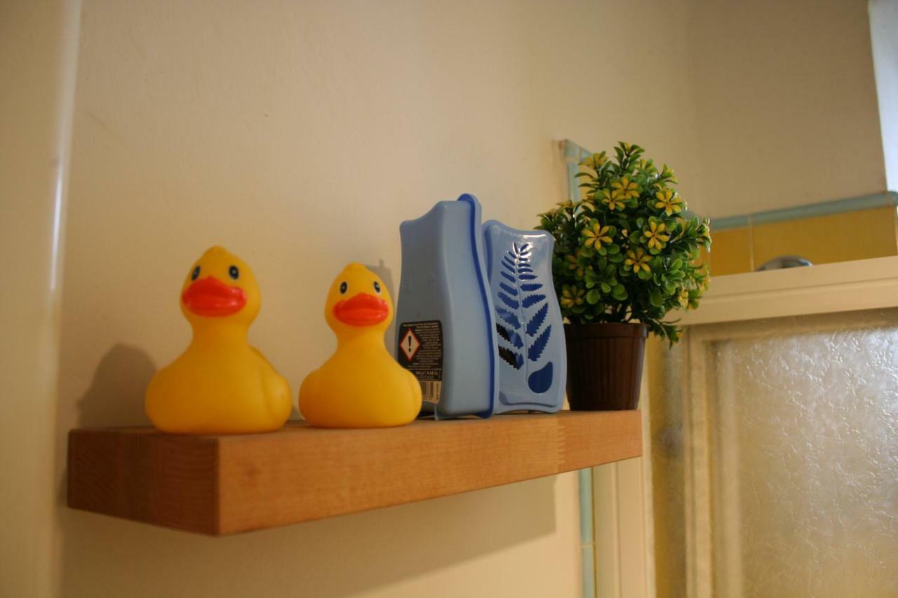 Apartment Il Gufo Pensatore *