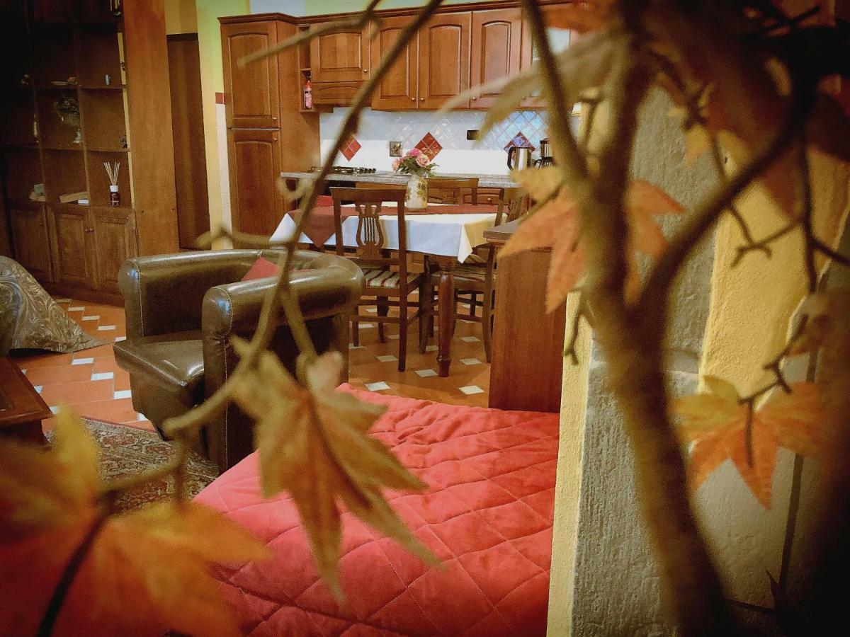 Apartment Cozy In Position