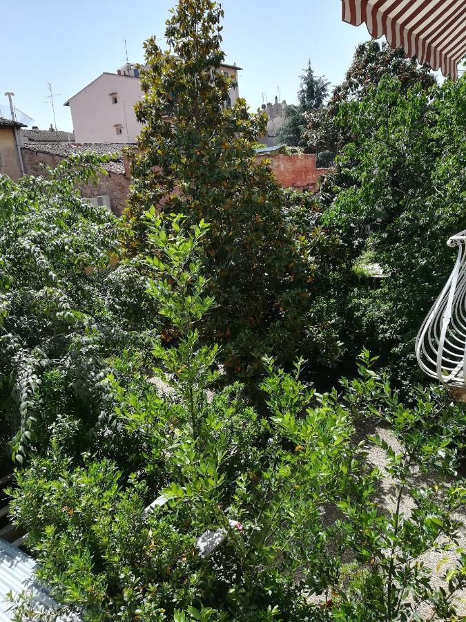 Giardino D'azeglio Locazione Turistica * Firenze