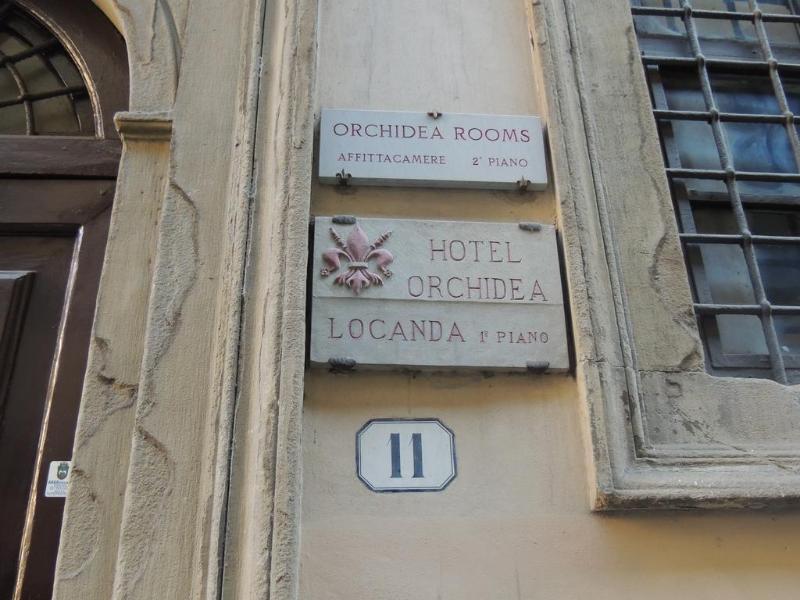 Orchidea Firenze